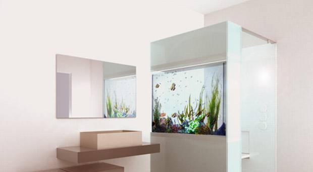 Bagno: Doccia con Acquario murato